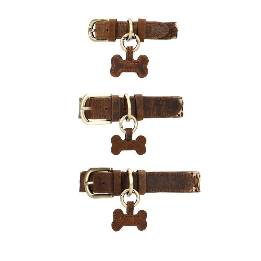 Bruine leren leopard honden halsband - S/M/L