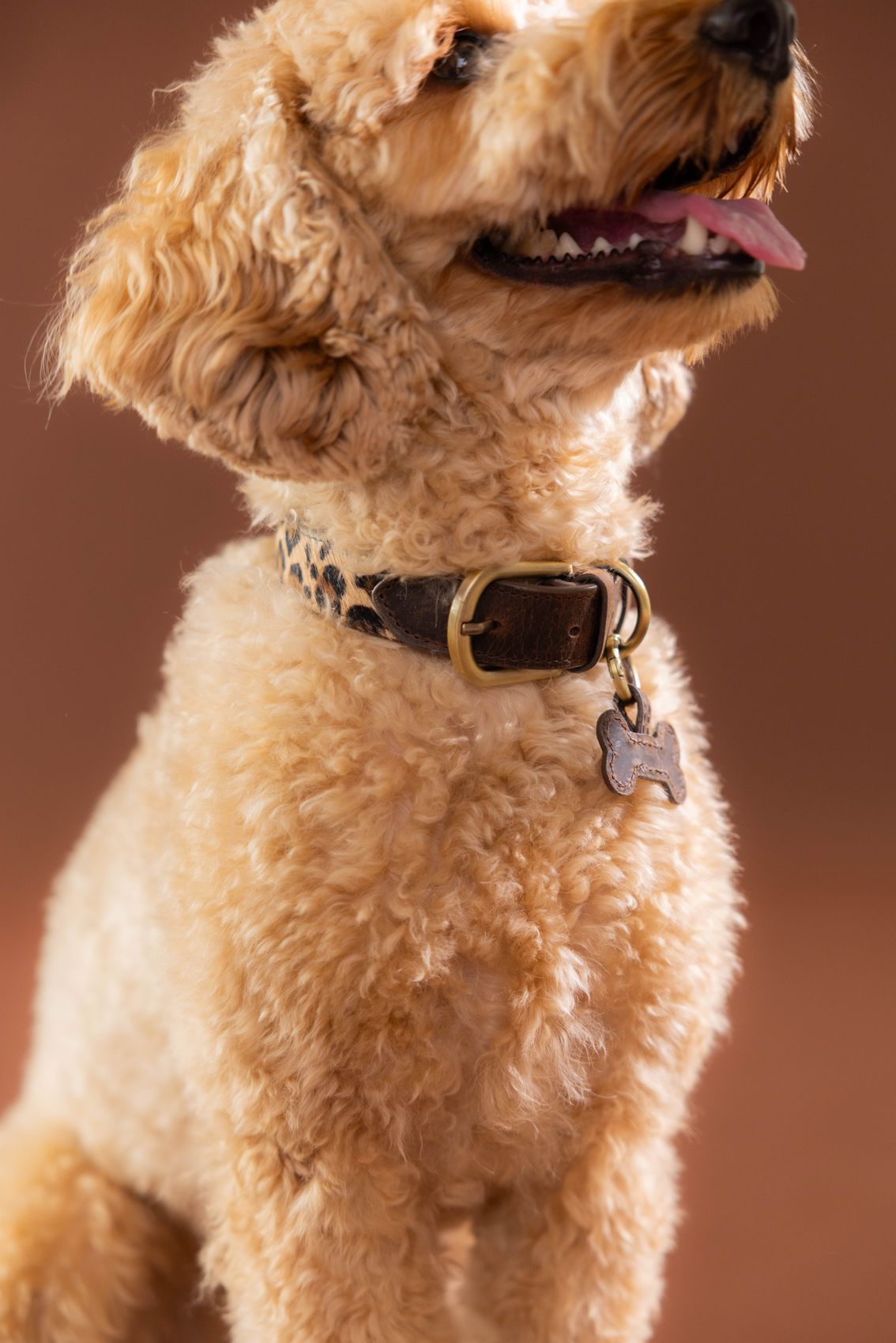 Bruine leren leopard honden halsband - S/M/L