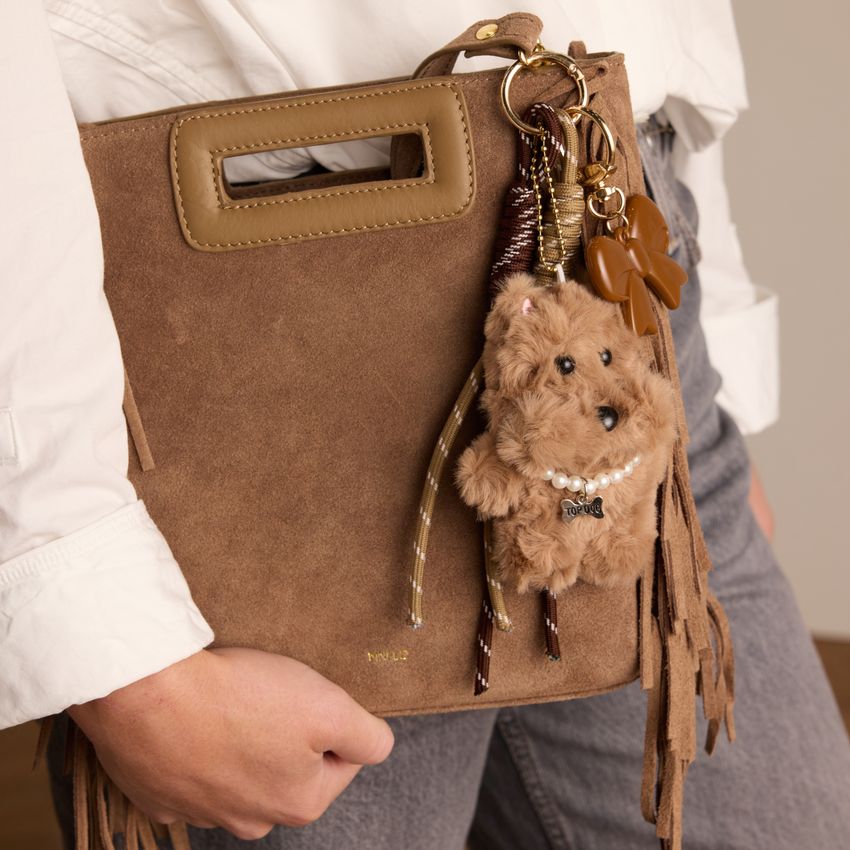 Taschen-Charm Hund mit braunen Bändern