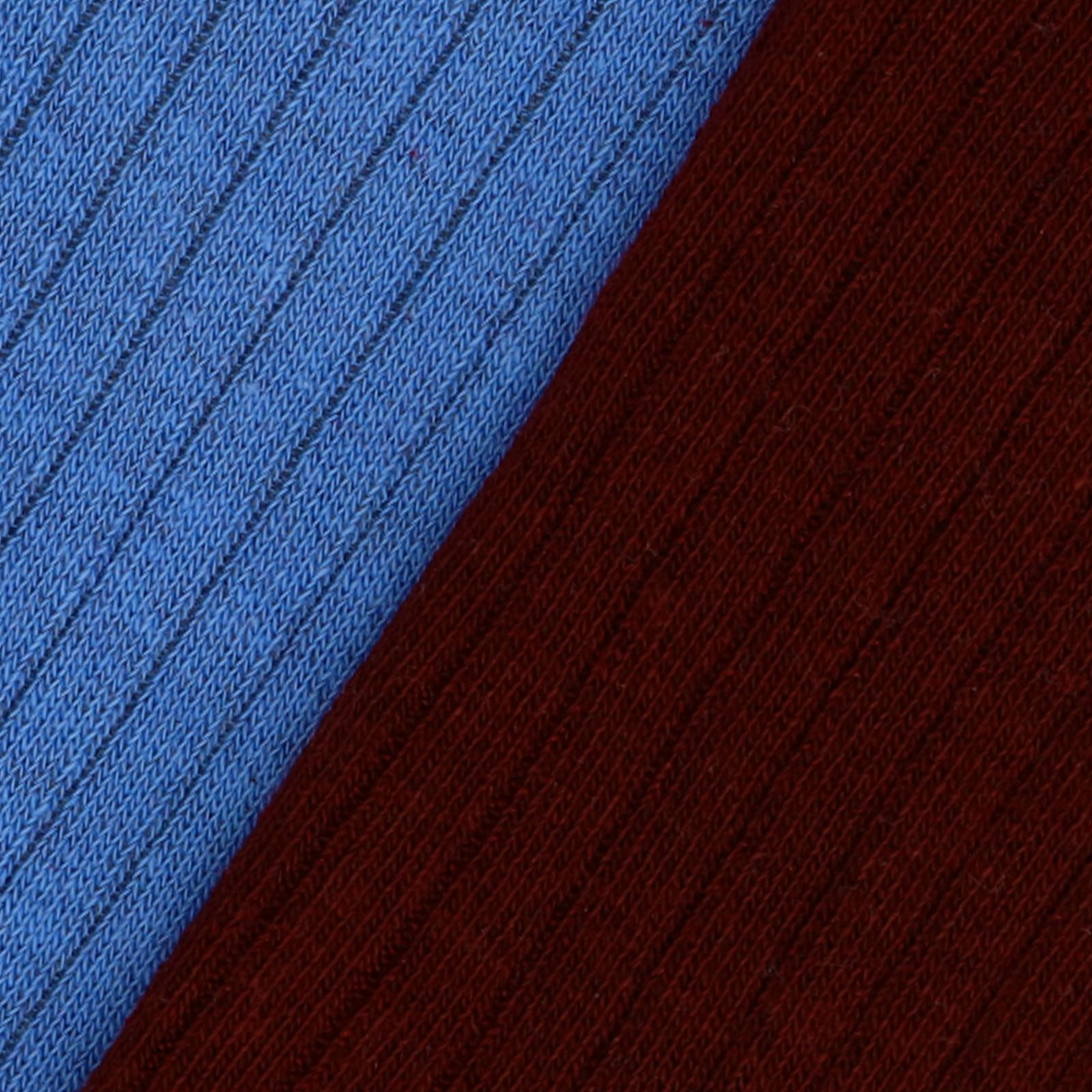 Blauw & Burgundy gestreepte 2-pack sokken